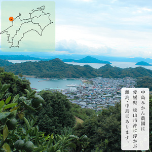 【2024年12月から発送】愛果28号 小玉 5kg 中島みかん農園｜みかん 蜜柑  みかん 不揃い みかん 柑橘 みかん 果物 みかん フルーツ みかん あいか みかん 松山 愛媛【NM0041】