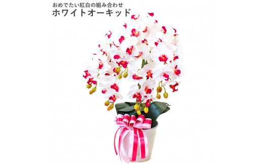 造花 シルクフラワーの胡蝶蘭の鉢植 5本立 CT触媒 ホワイトオーキッド ／ お花 コチョウラン 埼玉県