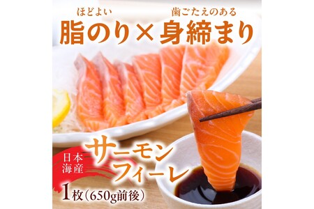 絶品！女性に大人気！お刺身食べ比べ！日本海産 サーモンフィーレ 約650g ＋ 甘えび むき身 20尾×1パック 刺身用