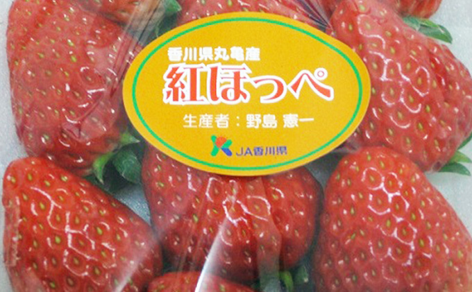 いちご 紅ほっぺ 4パック 丸亀産 フルーツ 果物 デザート おやつ 旬 産地直送 旬の果物 旬のフルーツ お取り寄せ 取り寄せ 送料無料 冷蔵 冷蔵配送 イチゴ 苺 香川 香川県 丸亀市 11月下旬
