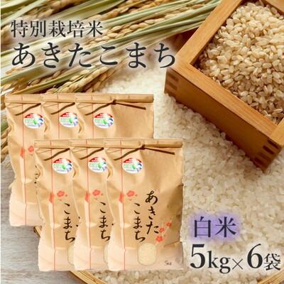 ふるさと納税 能代市 令和7年産 白米 あきたこまち 30kg (5kg×6袋)  特別栽培米[No.5335-0363]