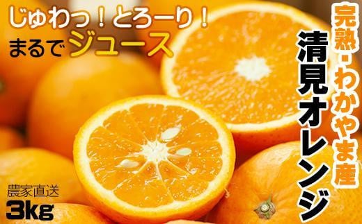 清見オレンジ 3kg【和歌山の清見オレンジ】3月下旬から4月下旬に和歌山県鈴木農園より農園直送 清美 清見 きよみ キヨミ 清美オレンジ きよみオレンジ キヨミオレンジ 清見タンゴール※北海道・沖縄県・一部離島 配送不可