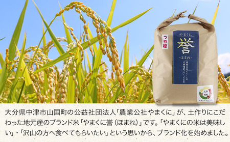 【寄附使途限定】【6ヶ月定期便】九州米・食味コンクール最優秀賞受賞 大分県中津産やまくに誉 つや姫 5kg×1袋 (毎月1回)  | お米 米 おこめ こめ 精米 白米 5キロ ご飯 九州産 国産 国