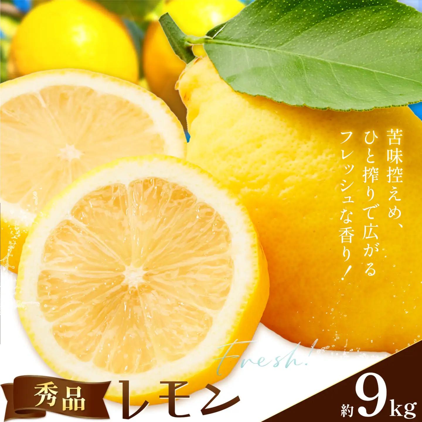 レモン 秀品 9kg 株式会社農業福祉研究機構