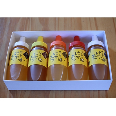 
            一戸町産はちみつ　はち郎のはちみつ250g×5本箱入(あかしあ、りんご、さくら、くり、ふじ、とち)【1125977】
          