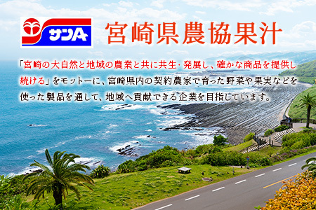 【定期便 12か月】 霧島山麓の天然水 590ml×24本入 12回 サンＡ ミネラルウォーター 飲料水 常温保存 宮崎