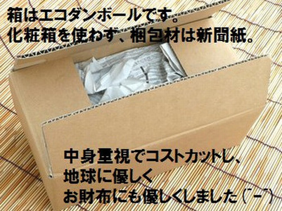 【予約受付】石垣島産 《訳あり・ご自宅用マンゴー》 約2kg エコ箱入り(3～6個入り) 2025年6月中旬～順次発送 SI-30-2