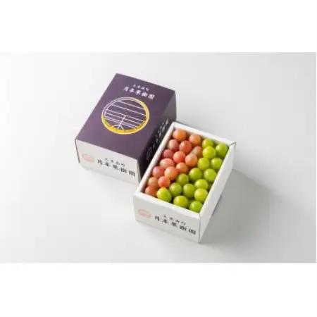 摘み落としぶどう　2種類詰め合わせ(ニューピオーネ、シャインマスカット)　1kg【配送不可地域：離島】【1734435】