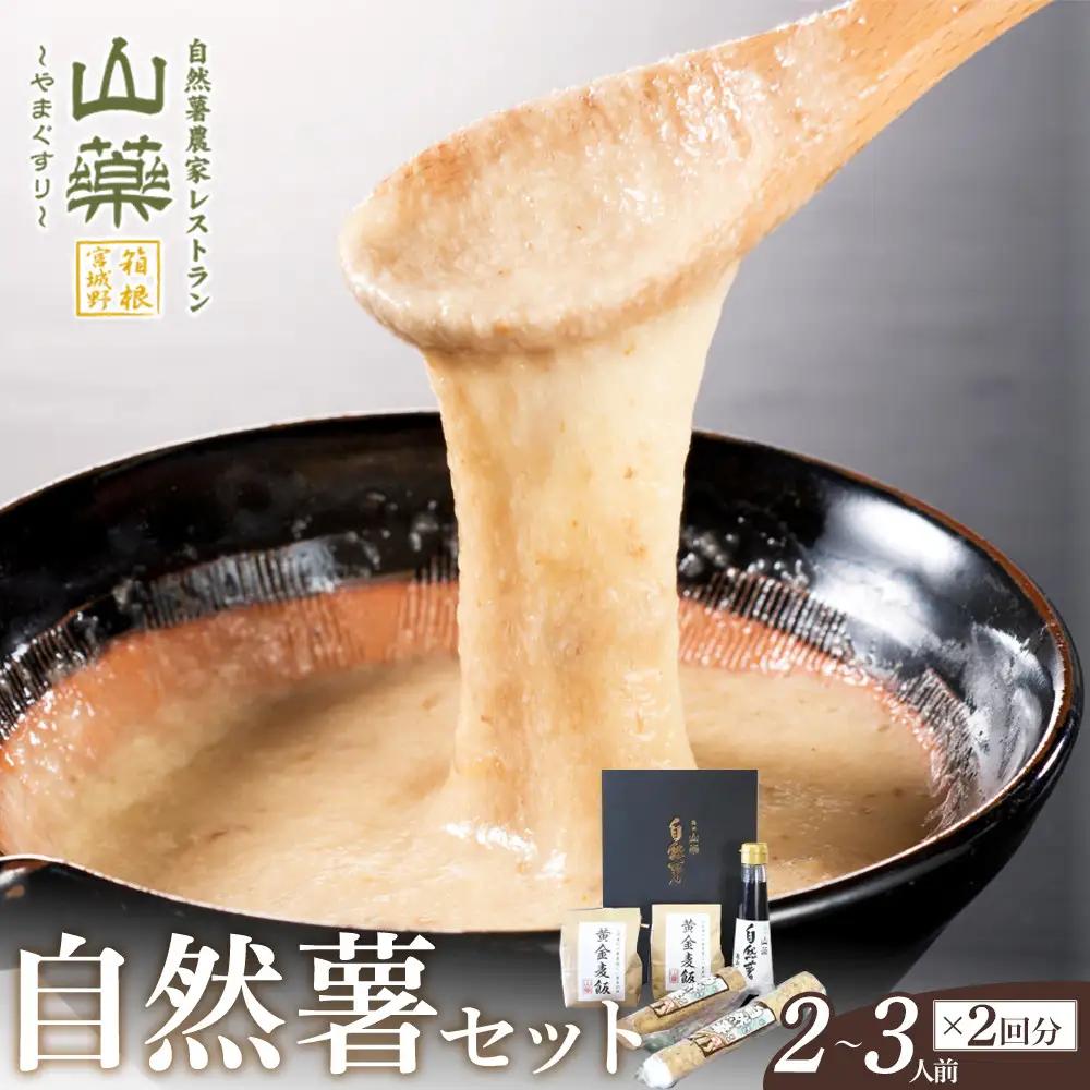 お店の味をご家庭で。【箱根自然薯の森 山薬】自然薯セット(2～3人前×2回分)【とろろ 極上とろろ 山芋 箱根 お家用 家庭用 国産 セット商品 自然薯 神奈川県 小田原市 とろろ】