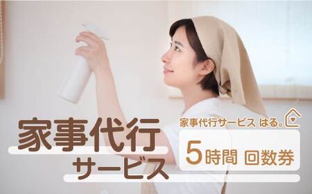 家事代行サービス　5時間　回数券　250P8408