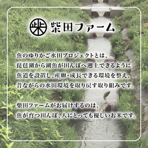 数量限定 先行予約 令和7年度産 みずかがみ 5kg×2袋 白米 米 コメ お米 新米 ご飯 ごはん 10kg 10 令和7年 7年 滋賀 彦根
