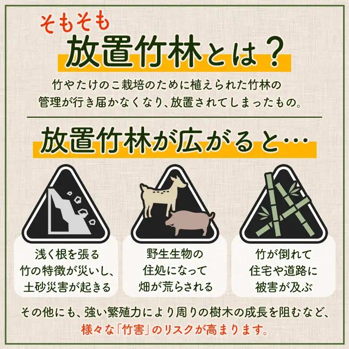 i1367-A 鹿児島めんま 出汁醤油 四川山椒 セット(100g×各2P・全2種) めんま 出汁 醤油 四川山椒 山椒 国産 九州 常温 味付き 味付け おつまみ おかず ごはんのお供 晩酌 ピリ辛