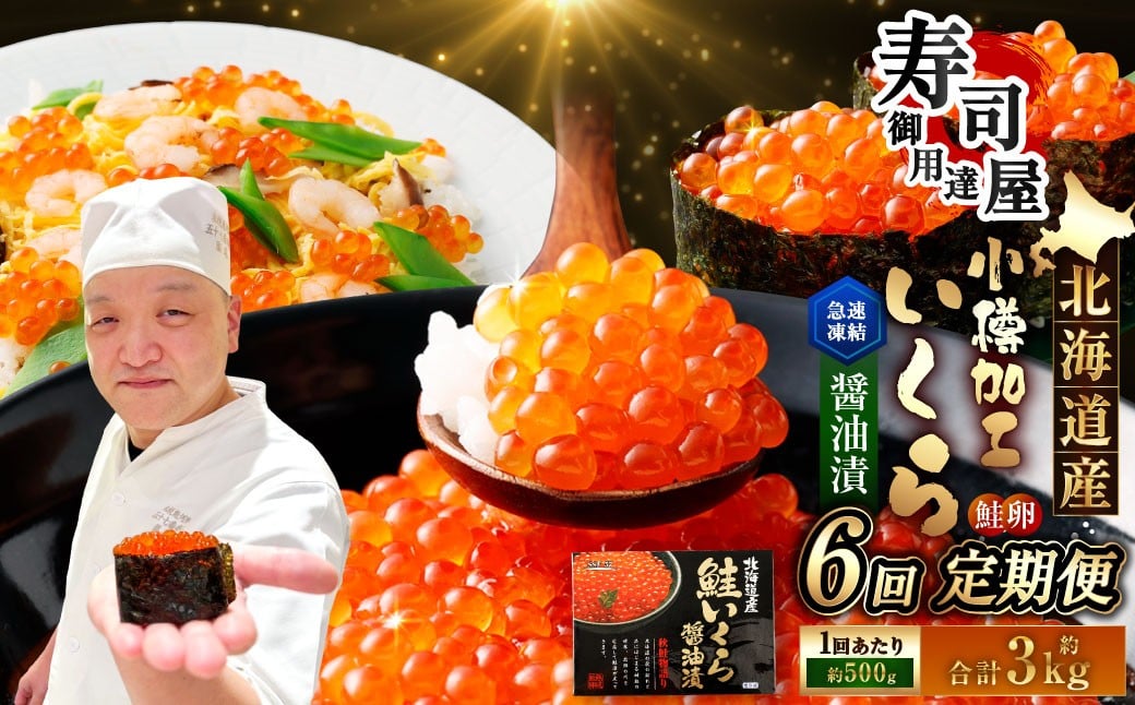 【6回定期便】 北海道加工 いくら醤油漬 約500g（約250g×2パック）×6回 計約3kg いくら醤油漬け いくら イクラ 醤油漬 醤油漬け 冷凍