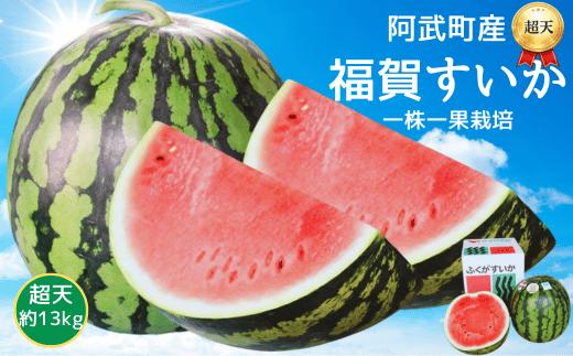 
                  福賀 すいか 超天 13kg 圧巻の超大玉＆シャリシャリ食感 高糖度 山口県 阿武町産 1個（希少1株1玉栽培） 産地直送 【2026年7月上旬～8月中旬順次発送】
                