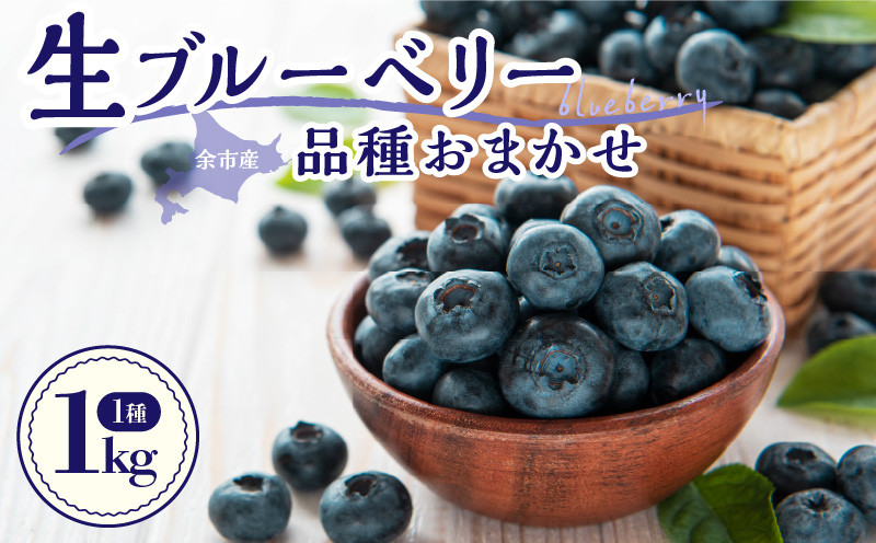 
                  【2026年7月中旬頃より発送】青果ブルーベリーおまかせ1種1kg（500g×2パック）＜アイケイファーム余市＞
                