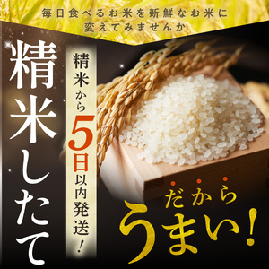 【3回定期便】精米したてを毎月お届け！北海道産 ななつぼし 5kg 【精米 白米 計15kg いつもの食卓に 新鮮なお米をお届け】_S036-0009