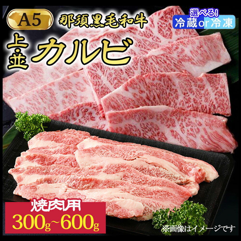 【ふるさと納税】《選べる内容量》那須和牛焼肉用A5 並カルビ 400g 上カルビ 300g・600g〔B-1〕牛肉 国産 牛 肉 和牛 赤身 冷蔵 すき焼き しゃぶしゃぶ 那須和牛 黒毛和牛 那須黒毛和牛 とちぎ和牛 栃木和牛 ブランド牛 A5 焼肉 ステーキ 夜ご飯 夜ごはん