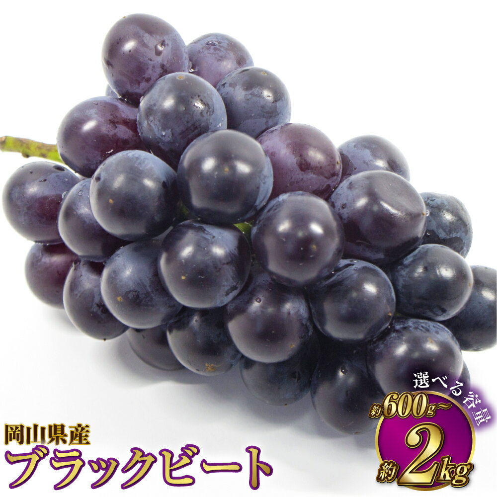 【ふるさと納税】【選べる容量】岡山県産 ブラックビート 約600g～約2kg ぶどう ブドウ 葡萄 果物 くだもの フルーツ 黒ぶどう お取り寄せ 冷蔵 おかやま 岡山県 奈義町 送料無料 【2025年8月上旬～9月上旬発送予定】