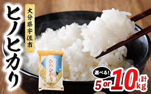 
            ＜先行予約受付中！2025年12月中旬より順次発送予定＞＜容量が選べる！＞ ヒノヒカリ 白米 (計5kg or 10kg) お米 ごはん ご飯 ひのひかり 数量限定 【117800100・117800200】【ジョイライス大分】
          