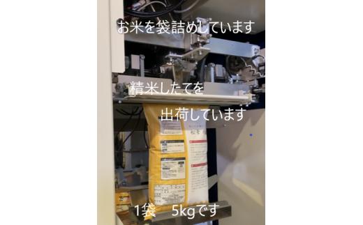 1448　特選米　コシヒカリ　5㎏　お米5㎏　米5㎏　生産販売　自社精米　直送　三重　伊勢　新鮮　コシヒカリ　ギフト