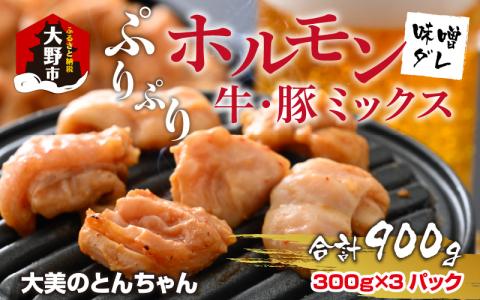 【先行予約】越前大野名物 大美のとんちゃん（ホルモン） 味噌ダレ 900g（300g × 3パック）【2025年1月16日以降、順次発送】