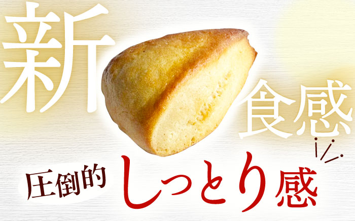 【全6回定期便】【卵不使用！】生スコーン おまかせ10個セット [QBZ004]