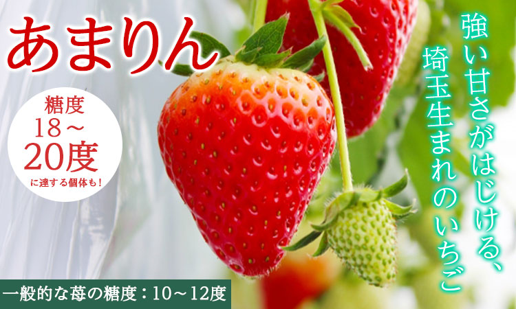 【先行受付】【訳あり】いちご『 あまりん 』サイズミックス １kg以上 【潰れが気にならない方限定】 【苺】 イチゴ おおきい スイーツ あかい 果物 ふるさと納税 いちご うまい フルーツ 期間限定