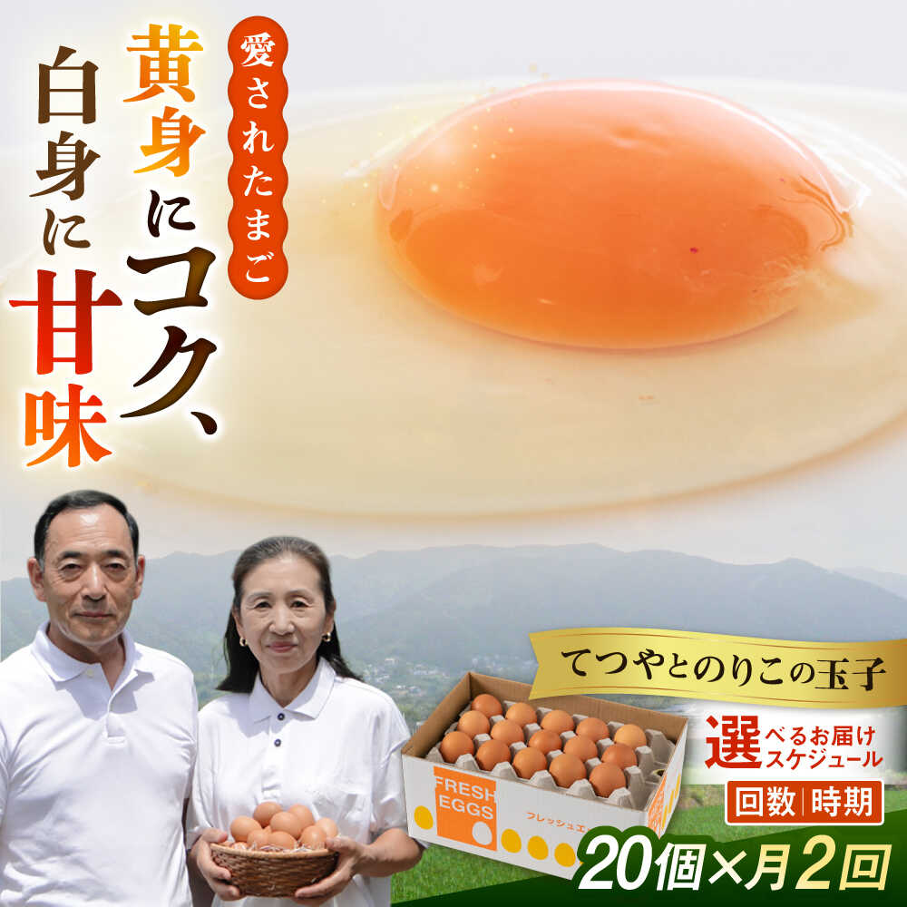 【ふるさと納税】【選べるコース・配送時期】《20個 × 月2回》 卵 てつやとのりこの玉子 1ヶ月/3ヶ月/6ヶ月/12ヶ月 定期便 糸島市 / 板垣ファーム [AWD014] 卵 たまご 常温