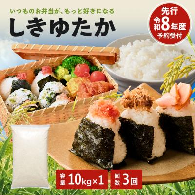 ふるさと納税 加西市 米 令和8年産 先行受付 しきゆたか 白米 10kg 3か月連続お届け[No5698-2798]