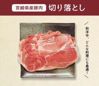 豚肉 宮崎県産豚肉切り落とし4kg 小分け