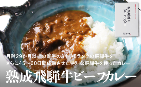 熟成飛騨牛カレー レトルト 詰め合わせ 5食セット レトルト