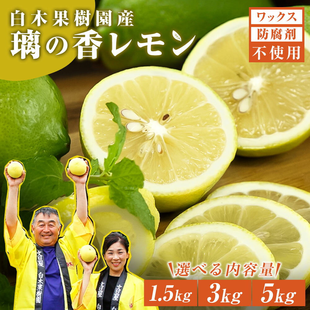 【ふるさと納税】＜白木果樹園＞レモン 選べる内容量 約1.5kg 約3kg 約5kg 璃の香レモン 果物 くだもの 柑橘 フルーツ れもん お取り寄せ 産地直送 おいしい 美味しい 白木果樹園 常温 配送 返礼品 ふるさとのうぜい 故郷納税 高知県 高知 土佐市