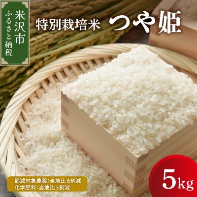 ふるさと納税 米沢市 【先行予約】令和8年産 つや姫 5kg 特別栽培米 ブランド米 産地直送 2026年産