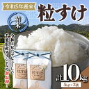 【ふるさと納税】令和5年産米 新米 精米 10kg （5kg×2袋） 白米 お米 ご飯 米 千葉県 鋸南町 F22X-137