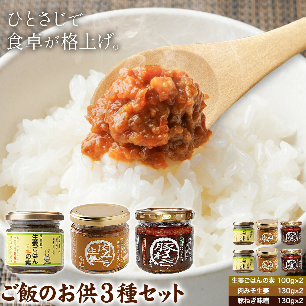 【ふるさと納税】 ご飯のお供 3種 セット 生姜ごはんの素 100g × 2 肉みそ生姜 130g × 2 豚ねぎ味噌 130g × 2 株式会社風土食房《30日以内に出荷予定(土日祝除く)》千葉県 我孫子市 国産 ショウガ 肉みそ 味噌 ピリ辛 コク旨 にんにく ネギ味噌 ごはん おにぎり おかず