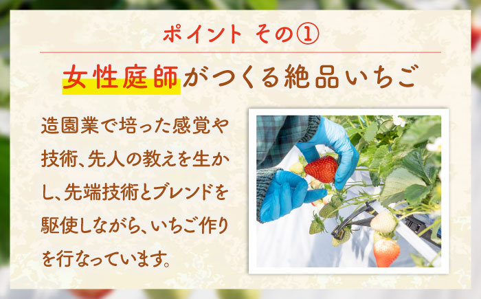 【全3回定期便】 【先行予約】家庭用 ゆめのか・恋みのり いちご 1kg（2種ミックス）【2027年2月以降順次発送】 いちご 苺 イチゴ 果物 フルーツ いちご 甘い ichigo strawber
