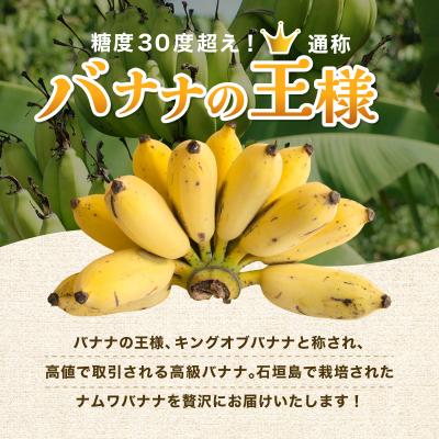 ふるさと納税 石垣市 ≪2026年4〜10月順次発送≫ 石垣島産 ナムワバナナ約1.5-2kg(12-20本) |  | 01