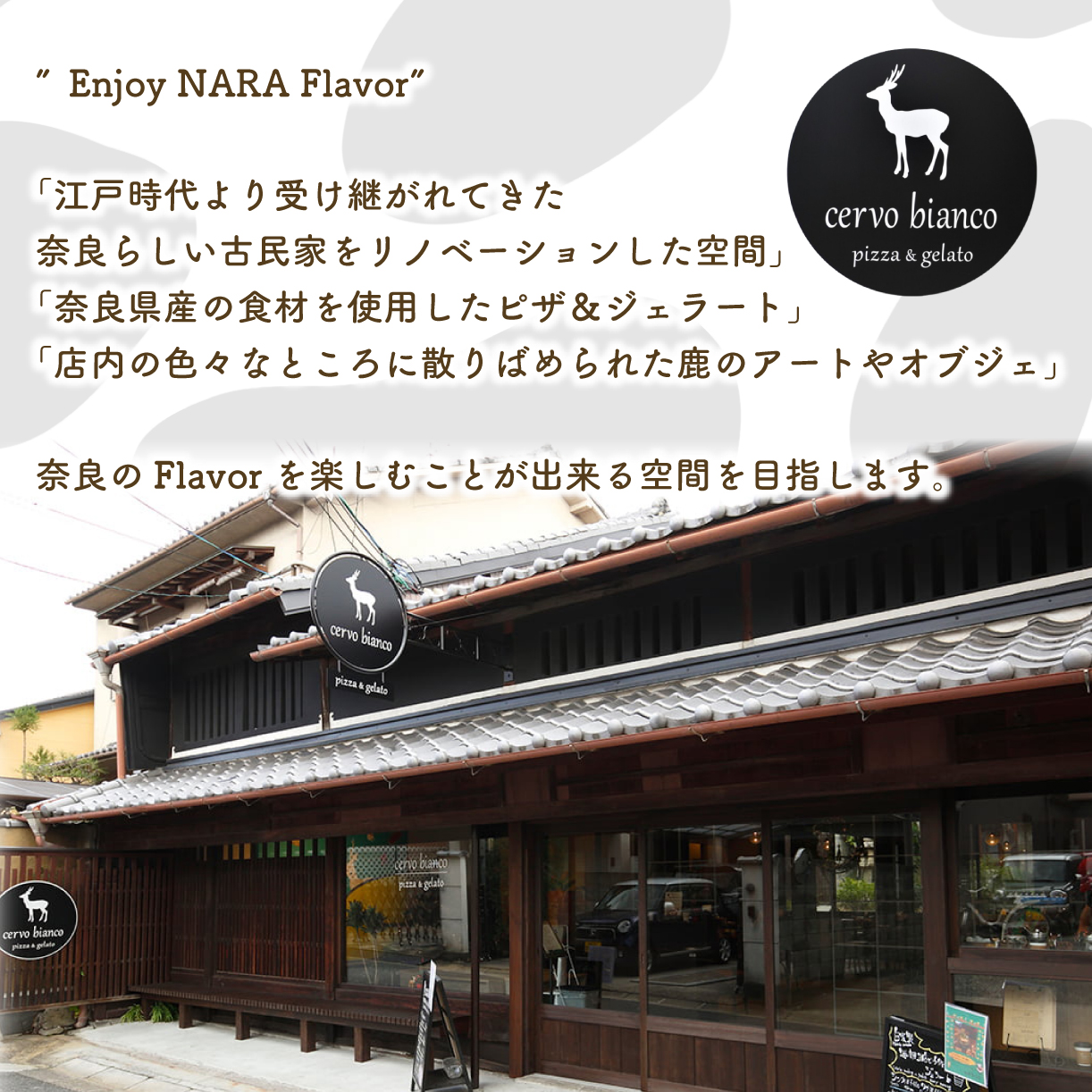 J-47 奈良の大人気店cervo biancoのジェラート 5個セット