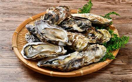 北海道噴火湾産 牡蠣のガンガン焼き 1.5kg 海産物 加工品 ほたて 帆立 ホタテ 魚介類 海鮮 森町 ふるさと納税 mr1-0982