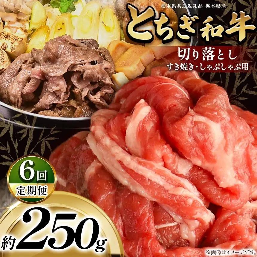 【定期6回】最高位賞を受賞！最高級ブランドの柔らかく風味豊かなとちぎ和牛切り落とし 250g（すき焼き・しゃぶしゃぶ用） | 霜降り 和牛 切り落とし とろける 品質 柔らかく 銘柄牛 安心 安全 美味しい おいしい 芸術品 特産品 ふるさと 納税 栃木県共通返礼品 栃木県 那珂川町 送料無料