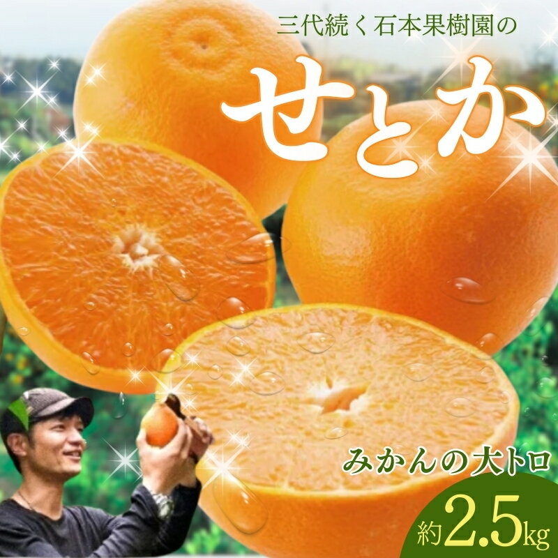 【ふるさと納税】 せとか 石本果樹園の美味しい せとか 約 2.5kg 9〜15玉前後【2026年2月中旬から3月中旬までに順次発送】 / みかん フルーツ くだもの 果物 柑橘 先行予約 産地直送 送料無料 希少