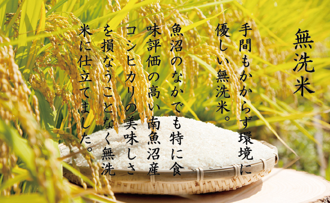 【新米予約 頒布会】南魚沼産こしひかり無洗米6kg×全6回