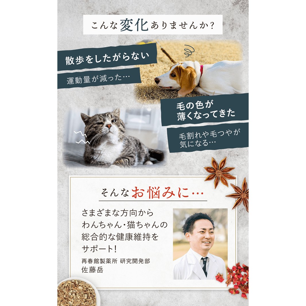 犬猫生活 エイジングケアピューレ 犬猫兼用 1袋(30本入)