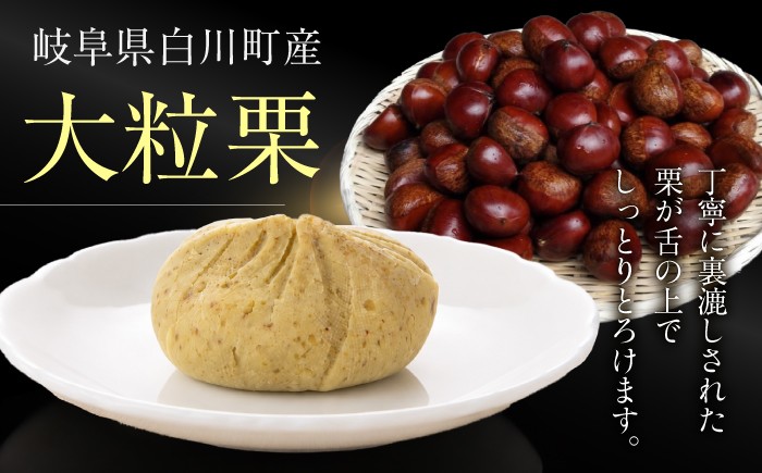 栗きんとん 12個入り(6個×2箱）栗 くり くりきんとん 和菓子 栗きんとん スイーツ 秋 季節限定 銘菓 ご当地 岐阜 白川