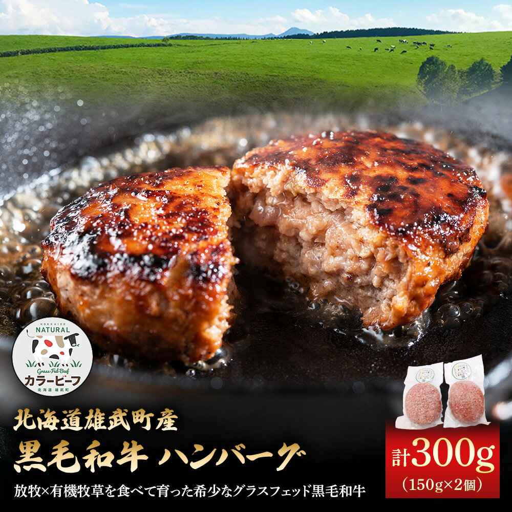 【ふるさと納税】【カラービーフ】黒毛和牛ハンバーグ（150gx2個） | 牛肉 黒毛和牛 和牛 有機牛 オーガニック グラスフェッド カラービーフ ハンバーグ 計300g 計4個 赤身 肉 旨み 牧草 放牧 自然 安心 安全 あっさり お取り寄せ 北海道 雄武町 雄武【01131】