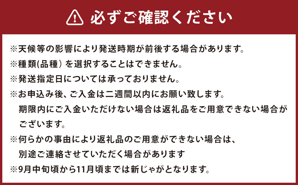 【厳選品】岩手にのへじゃがいも「伝」メークイン (L・Mサイズ) 10kg