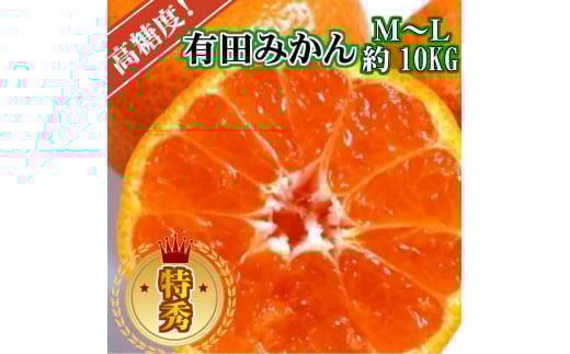 
                  有田みかん［特秀品M~L、高糖度］約10kg!［2025年10月から12月下旬頃順次発送］
                