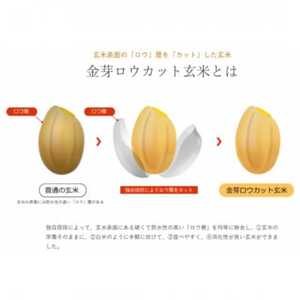金芽米(無洗米) 4.5kg+金芽ロウカット玄米2kgセット　金芽米計量カップ付【1708001】