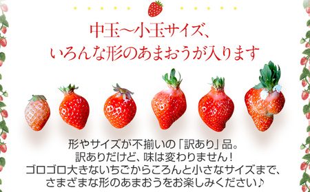 荒巻エコタロウ農園のちょっと小ぶりなたっぷりあまおう1,480g（約370g×4パック) 　中玉～小玉サイズ サイズ不揃い 【2026年2月~4月】BJ02