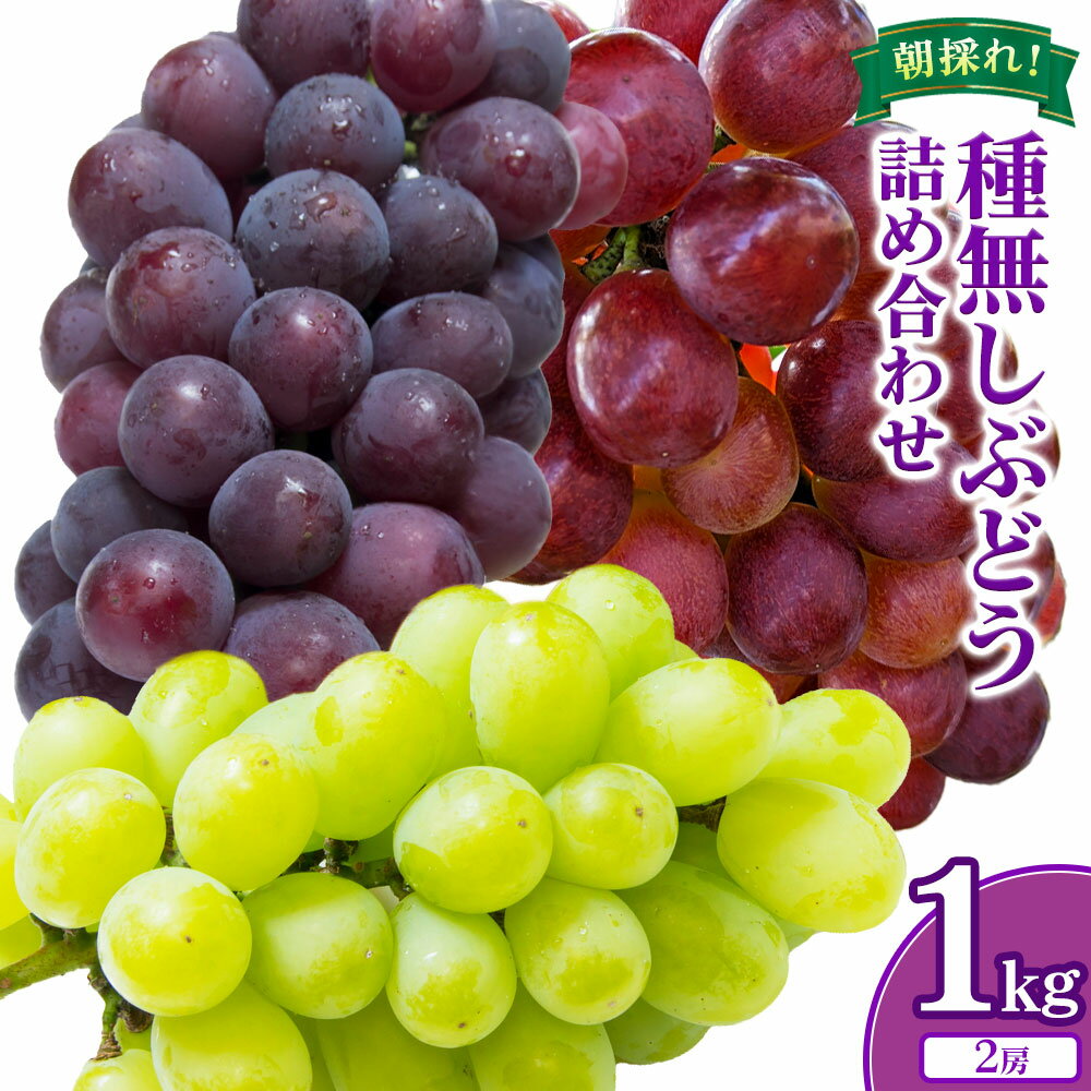 【ふるさと納税】種無しぶどう詰め合わせ 約1kg 2房 ぶどう フルーツ 果物 岡山県産 中嶋ぶどう園 ブドウ《9月上旬-10月末頃出荷》岡山県 矢掛町 送料無料 お取り寄せフルーツ セット シャインマスカット 食べ比べ